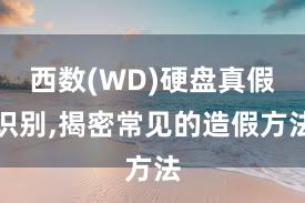 西数(WD)硬盘真假识别,揭密常见的造假方法