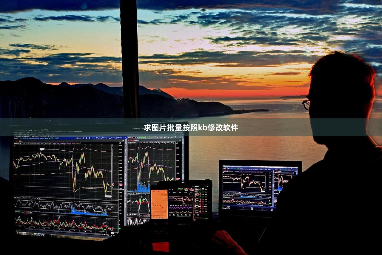 求图片批量按照kb修改软件