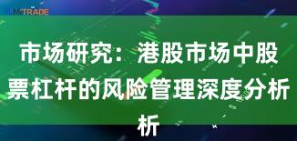 市场研究：港股市场中股票杠杆的风险管理深度分析
